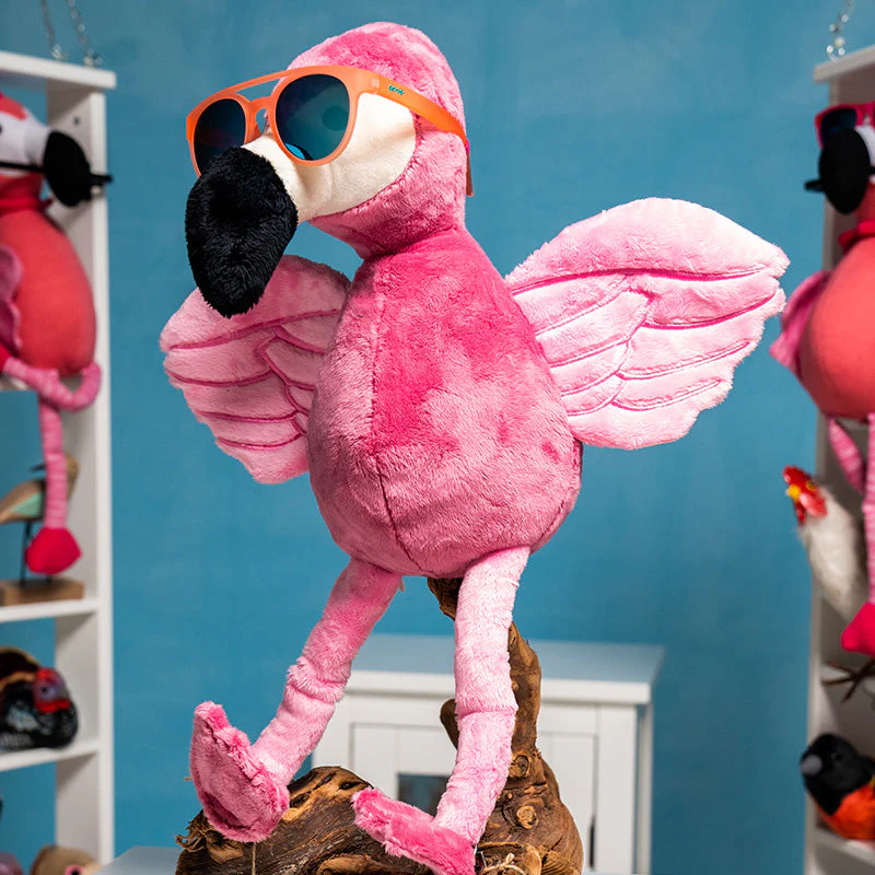 Stay Fly, Ornithologists - Image 4